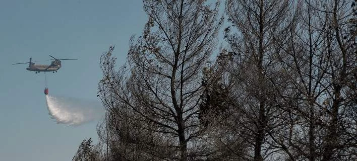 Περιφέρεια Βορείου Αιγαίου: Υψηλός κίνδυνος για πυρκαγιά σε Λέσβο και Χίο